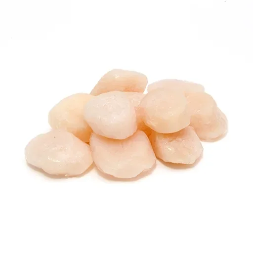 Миди Сен Жак ядка (Scallops)