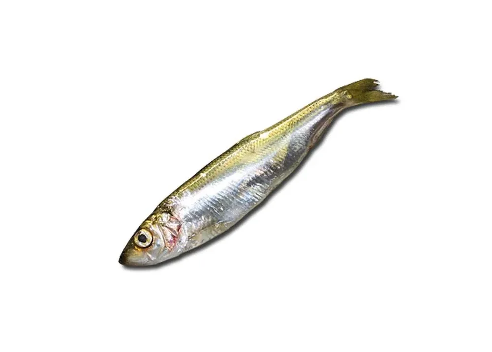 Гавро